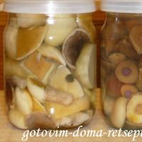Маринованные грибы на зиму, рецепты