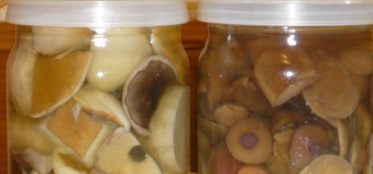 Pickled mushrooms for the winter, recipes